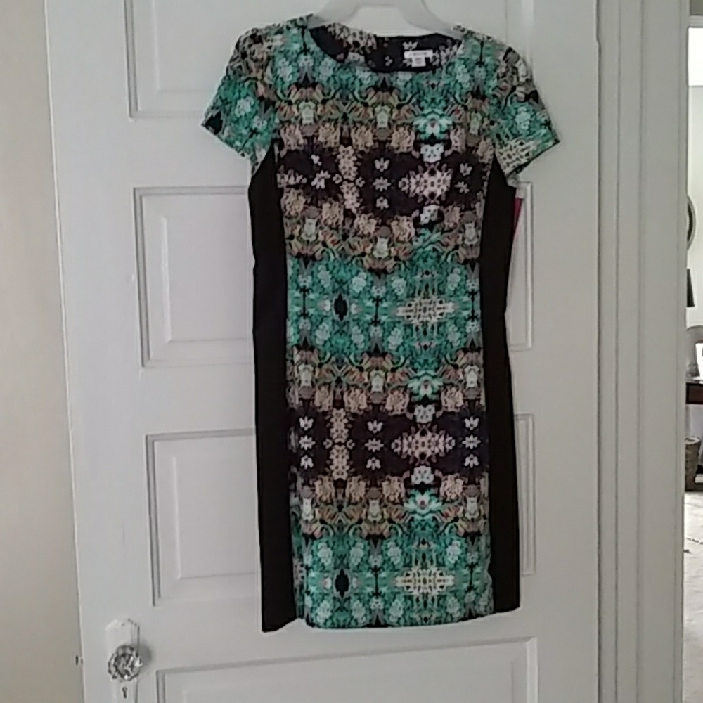 Clothes - Picture 3 of 8